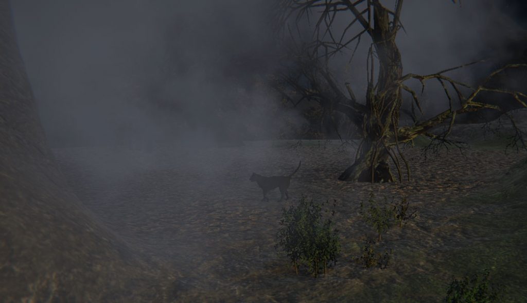 A Black Cat Roams the Dark Forest